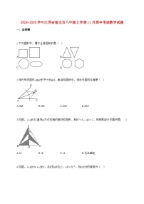 2024_2025学年江苏省宿迁市八年级上册（11月）期中考试数学试题【附答案】