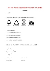 2024_2025学年江苏省宿迁市泗阳县八年级上册（11月）期中考试数学试题【附答案】