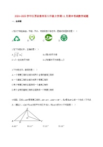 2024_2025学年江苏省泰州市八年级上册（11月）期中考试数学试题【附答案】