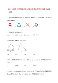 2024_2025学年江苏省泰州市八年级上册（11月）期中数学试题【附答案】