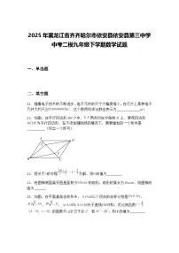 2025年黑龙江省齐齐哈尔市依安县依安县第三中学中考二模九年级下学期数学试题(含答案解析)