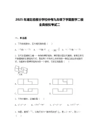 2025年湖北省部分学校中考九年级下学期数学二模全真模拟考试二（含答案解析）