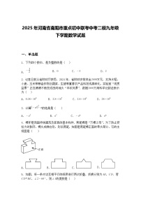 2025年河南省南阳市重点初中联考中考二模九年级下学期数学试题（含答案解析）