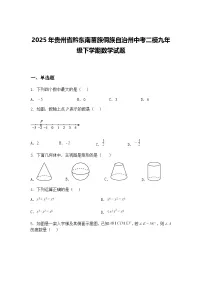 2025年贵州省黔东南苗族侗族自治州中考二模九年级下学期数学试题(含答案解析)