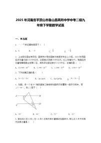 2025年河南省平顶山市鲁山县两所中学中考二模九年级下学期数学试题(含答案解析)