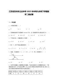 江苏省苏州市立达中学2025年中考九年级下学期数学二模试卷（含答案解析）