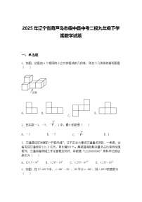 2025年辽宁省葫芦岛市绥中县中考二模九年级下学期数学试题（含答案解析）