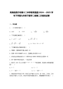 青海省西宁市第十二中学教育集团2024---2025学年下学期九年级下数学二模第二次模拟试卷（含答案解析）