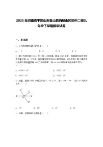 2025年河南省平顶山市鲁山县西部山区初中二模九年级下学期数学试题（含答案解析）