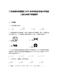 广东省惠州市惠阳区2025年中毕业生学业水平测试二模九年级下学期数学(含答案解析)