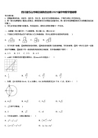 四川省乐山市峨边彝族自治县2025届中考数学猜题卷含解析
