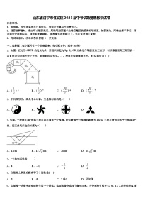 山东省济宁市任城区2025届中考试题猜想数学试卷含解析
