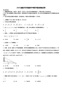 2025届临沂市莒南县中考数学模拟精编试卷含解析