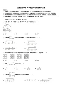 山西省临汾市2025届中考冲刺卷数学试题含解析
