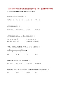 2024_2025学年江苏省苏州市重点校九年级上学期数学期中试卷【附答案】