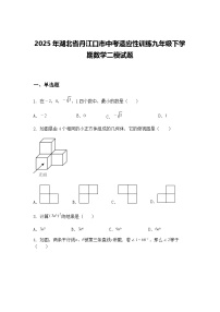 2025年湖北省丹江口市中考适应性训练九年级下学期数学二模试题（含答案解析）