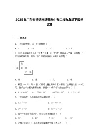 2025年广东省清远市连州市中考二模九年级下数学试卷（含答案解析）