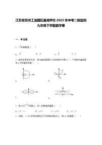江苏省苏州工业园区星湖学校2025年中考二模监测九年级下学期数学卷（含答案解析）