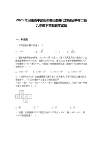 2025年河南省平顶山市鲁山县第七教研区中考二模九年级下学期数学试题（含答案解析）