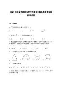 2025年山东省临沂市罗庄区中考二模九年级下学期数学试题（含答案解析）