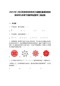 2025年5月江苏省苏州市苏州工业园区星海实验初级中学九年级下调研考试数学二模试题（含答案解析）