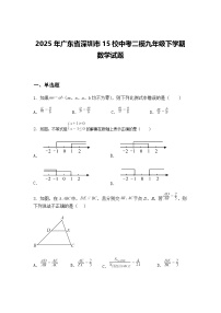 2025年广东省深圳市15校中考二模九年级下学期数学试题（含答案解析）