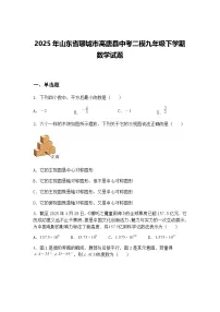 2025年山东省聊城市高唐县中考二模九年级下学期数学试题（含答案解析）