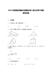 2025年陕西省渭南市合阳县中考二模九年级下学期数学试题（含答案解析）