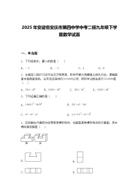 2025年安徽省安庆市第四中学中考二模九年级下学期数学试题（含答案解析）