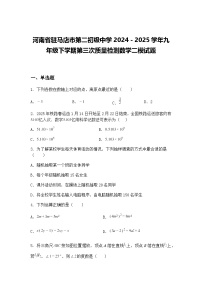 河南省驻马店市第二初级中学2024－2025学年九年级下学期第三次质量检测数学二模试题（含答案解析）
