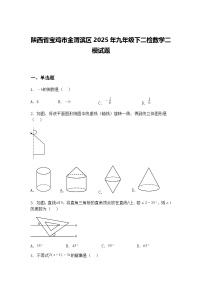 陕西省宝鸡市金渭滨区2025年九年级下二检数学二模试题（含答案解析）