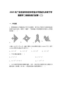 2025年广东省深圳市初中学业水平测试九年级下学期数学二模模拟练习试卷（二）（含答案解析）
