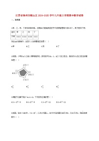 江苏省徐州市铜山区2024_2025学年九年级上学期期中数学试卷【含答案】