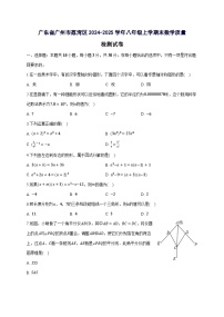 广东省广州市荔湾区2024^2025学年八年级上学期末数学试卷（附答案）