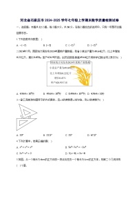 河北省石家庄市2024^2025学年七年级上学期末数学试卷（附答案）