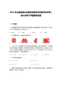 2025年云南省保山市腾冲市腾冲市实验学校中考二模九年级下学期数学试题(含答案解析)
