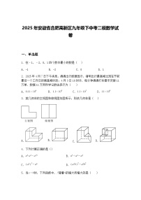 2025年安徽省合肥高新区九年级下中考二模数学试卷（含答案解析）