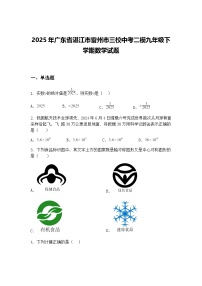 2025年广东省湛江市雷州市三校中考二模九年级下学期数学试题（含答案解析）