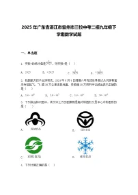 2025年广东省湛江市雷州市三校中考二模九年级下学期数学试题（含答案解析）