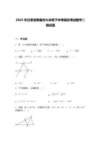 2025年甘肃省陇南市九年级下中考模拟考试数学二模试题（含答案解析）