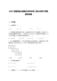 2025河南省鲁山县部分中学中考二模九年级下学期数学试卷（含答案解析）