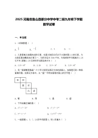 2025河南省鲁山县部分中学中考二模九年级下学期数学试卷(含答案解析)