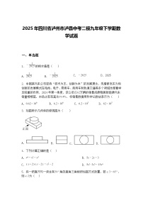 2025年四川省泸州市泸县中考二模九年级下学期数学试题（含答案解析）