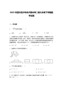 2025年四川省泸州市泸县中考二模九年级下学期数学试题（含答案解析）
