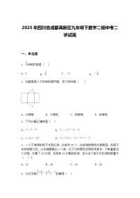 2025年四川省成都高新区九年级下数学二模中考二诊试题（含答案解析）