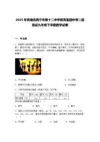 2025年青海省西宁市第十二中学教育集团中考二模测试九年级下学期数学试卷（含答案解析）