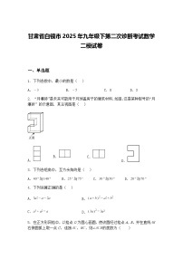 甘肃省白银市2025年九年级下第二次诊断考试数学二模试卷（含答案解析）