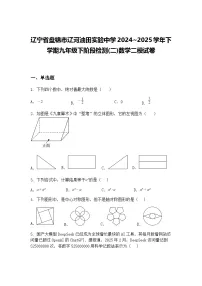 辽宁省盘锦市辽河油田实验中学2024~2025学年下学期九年级下阶段检测(二)数学二模试卷(含答案解析)