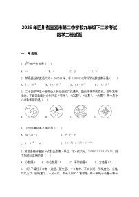 2025年四川省宜宾市第二中学校九年级下二诊考试数学二模试题（含答案解析）