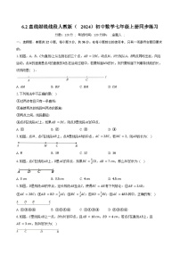 数学七年级上册（2024）直线、射线、线段精品课堂检测